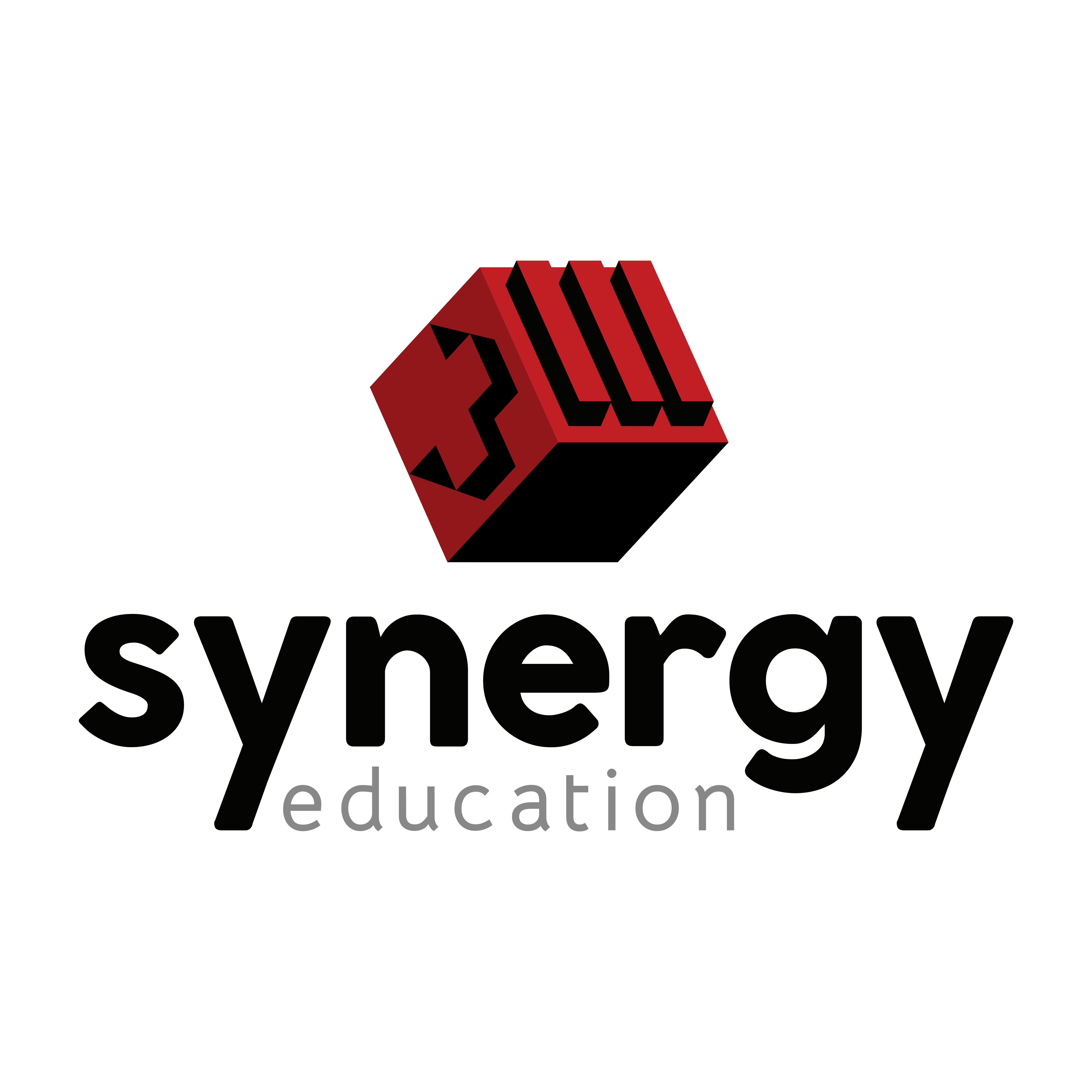 Synergyeducation_logovertical